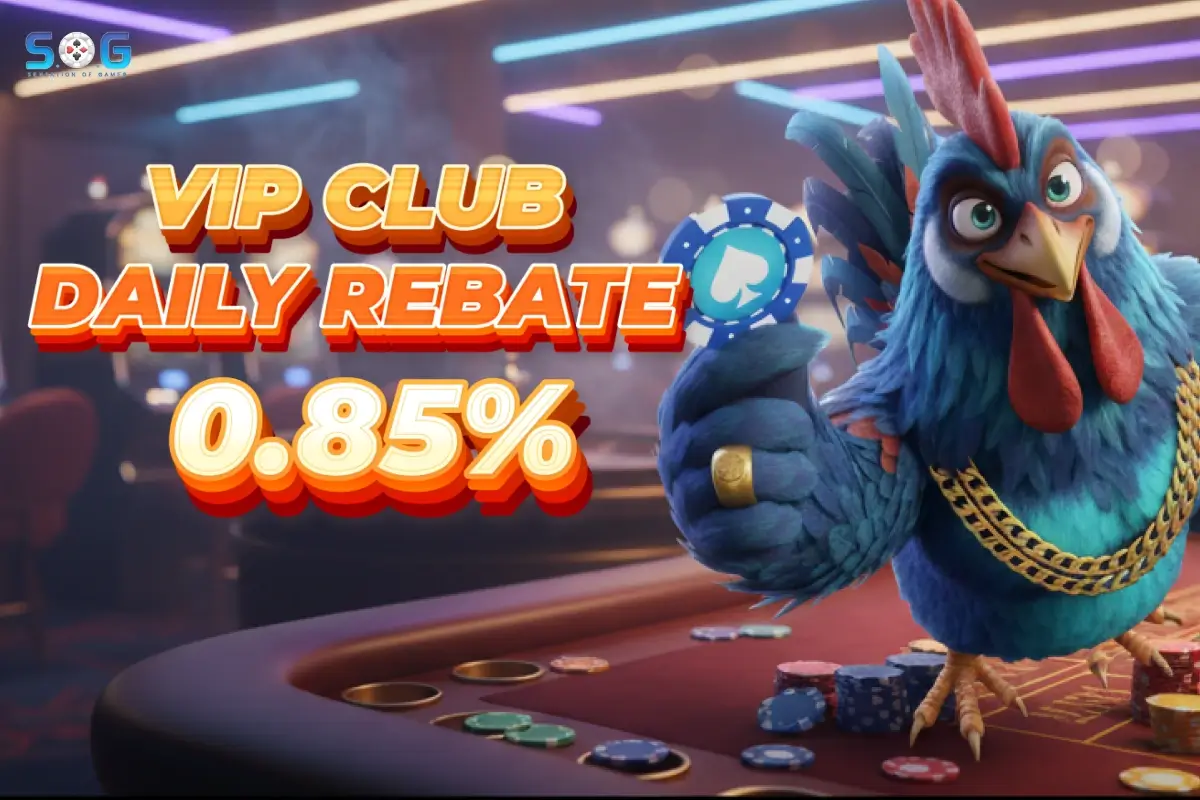 VIP Daily Rebate